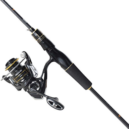 REMIXON FOCUS BG 2.10M 5-35GR 2P KAMIŞ+BG3000M 5+1BB MAKARA, SET Standart-Standart