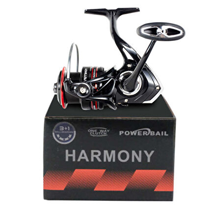 Remixon Strong 4.20m 100-250gr & Remixon Harmony 7000D SURF SETİ