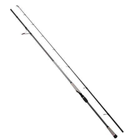 RYUJI MATRIX FUJI 2.80M 25-80 GR  2P SHORE JIG KAMIŞ Standart-Standart
