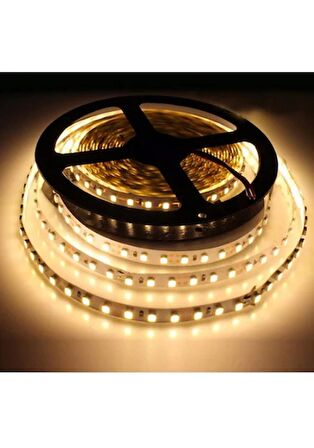 Cata CT-4538 Gold 240 Led 12 Volt İç Mekan Serit Led Günışığı 5 Metre