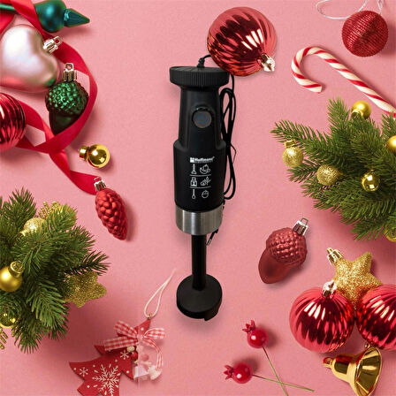 hoffmans 4 ın 1 hand blender set hm-8042