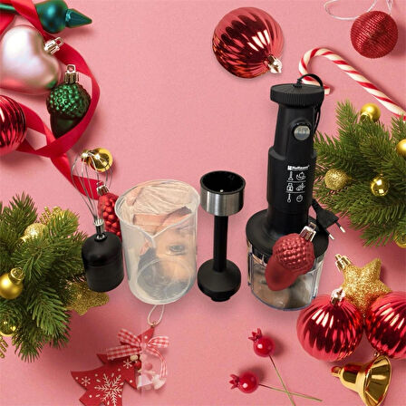 hoffmans 4 ın 1 hand blender set hm-8042