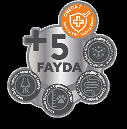 PERİTAS SOMONLU KISIR YETİŞKİN KEDİ MAMASI 2KG