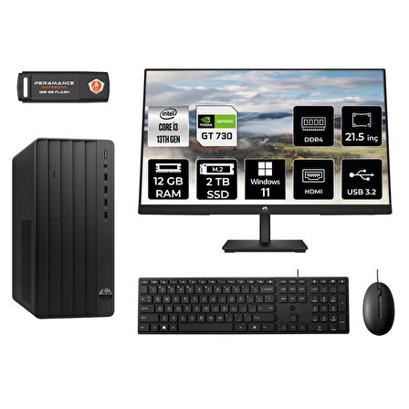 HP PRO TOWER 290 G9 MX0ESD409 i3 13100 12GB RAM 2TB SSD GT730 4GB 21.5" W11P MASAÜSTÜ PC