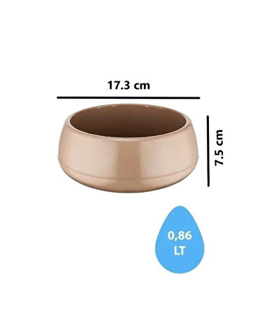 Omnipazar SO-EAS1 Dekoratif Elvan Arajman Sukulent Kaktüs Saksı 0.86 Litre No 1