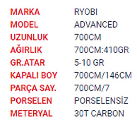 RYOBI ADVANCED 700 CM HALKASIZ GÖL KAMIŞI