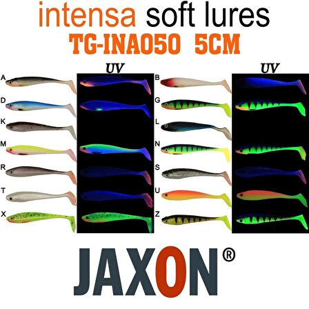 JAXON GUMMY INTENSA TG-INA050 5CM 5’Lİ PK RENK:B