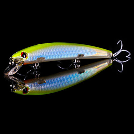 Japanese Minnow HG2554 11CM 13GR MAKET BALIK