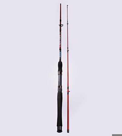 Alesta BEST STICK 240 CM 10-30Gr 2Pc Spin Kamış