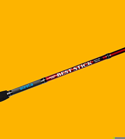 Alesta BEST STICK 240 CM 10-30Gr 2Pc Spin Kamış