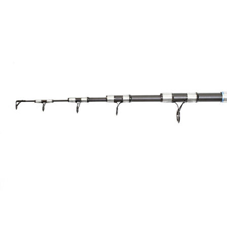 Captain 1683 Cygnus Tele Surf Kamış 420cm 100-200gr Atar
