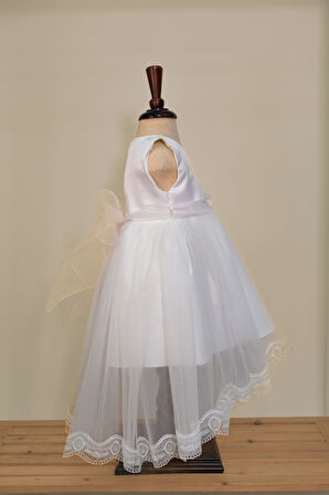 Kız Çocuk Karpuz Kollu Pembe Çiçekli Abiye Elbise 9-36 Ay