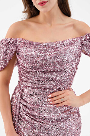 Kadın Pudra Pul Payet İşlemeli Uzun Abiye Elbise