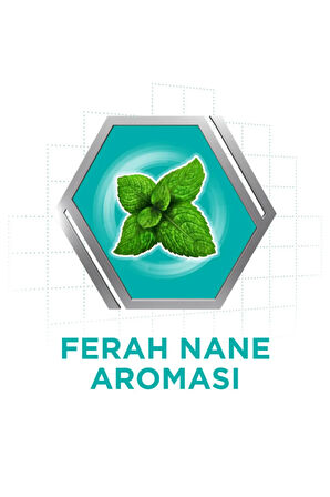 Naneli Diş Protezi Yapıştırıcı Krem 40g (2 Adet)