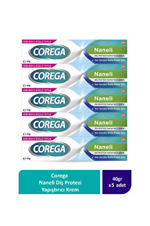 Naneli Diş Protezi Yapıştırıcı Krem 40g (5 Adet)