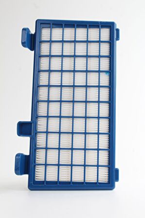 rowenta Ro6265 Xtrem Power  Süpürge Hepa Filtresi (ithal)