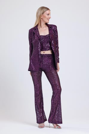 Astarlı Gizli Fermuarlı Zara Payet Pantolon | Pnt32488 Mor