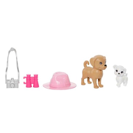 Mattel Oyuncak Barbie ve Stacie Kız Kardeşler İkili Set HRM09