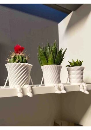 3'Lü Mini kaktüs ailesi saksısı