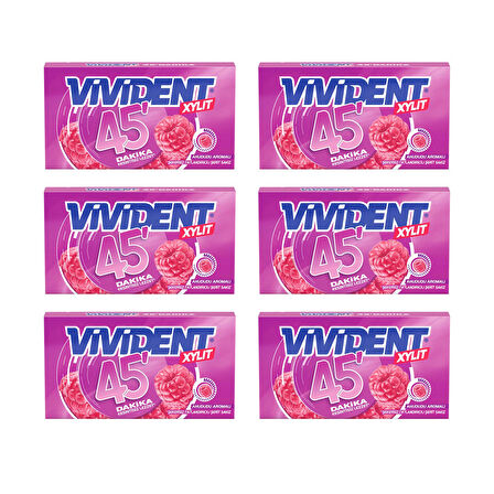 Vivident 45 dk Cüzdan Sakız Ahududu 26 gr x 6 Adet
