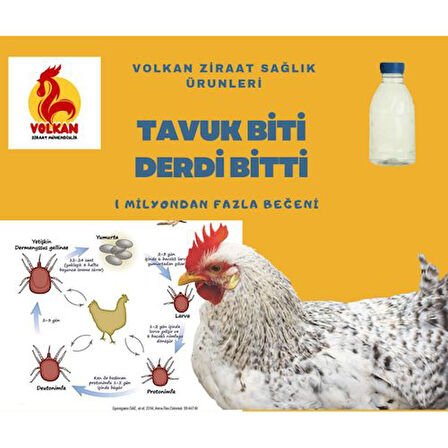 "Kümes Hayvanlarınız İçin Kesin Çözüm: Kırmızı Bitlere Karşı Gallus Gallinea"