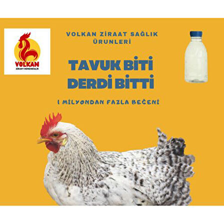 "Kümes Hayvanlarınız İçin Kesin Çözüm: Kırmızı Bitlere Karşı Gallus Gallinea"