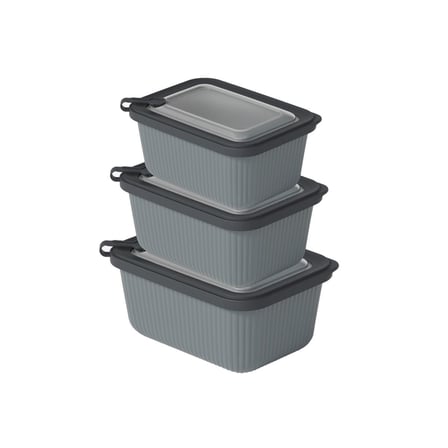 Plastik Saklama Kabı Seti - Mikrodalga Uyumlu Dikdörtgen (600/1100/1800 ml)