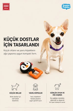 Suppa Puppa Serisi Sesli Penguen Peluş Köpek Oyuncağı | TPR Diş Kaşıyıcı Halka | Küçük Irk ve Yavru Köpekler İçin | XS