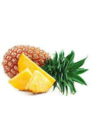 15 Adet Ananas Meyve Tohumu Ananas Tohumu Yerli Ata Tohum Sürpriz Hediye Tohum