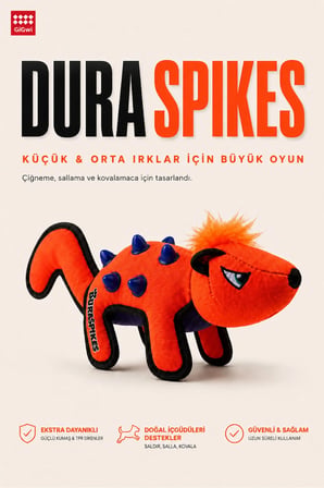 Duraspikes Serisi TPR Dikenli Kanvas Kumaşlı Peluş Rakun Köpek Çiğneme Oyuncağı – Küçük ve Orta Irklar İçin
