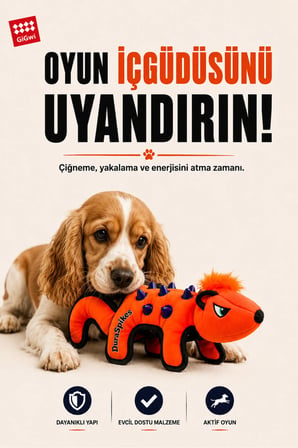 Duraspikes Serisi TPR Dikenli Kanvas Kumaşlı Peluş Rakun Köpek Çiğneme Oyuncağı – Küçük ve Orta Irklar İçin