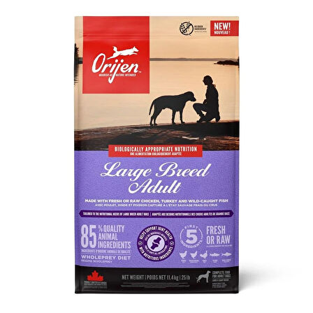Orijen Puppy Large Breed Köpek Maması 11,4kg