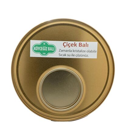 Köyceğiz Balı Bahar Çiçek Balı 2850 G Teneke