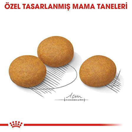 Royal Canin Maxi Dermacomfort Kuru Köpek Maması 12kg