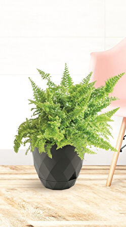 Omnipazar KRS-453 Yakamoz Tabaklı Plastik Saksı Takımı 2.4 Litre No 3