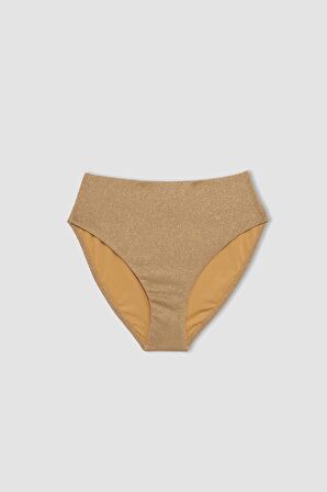 DeFacto Regular Fit Parlak Kumaş Yüksek Bel Bikini Altı-Fall in Love C3180AX24SMYL275