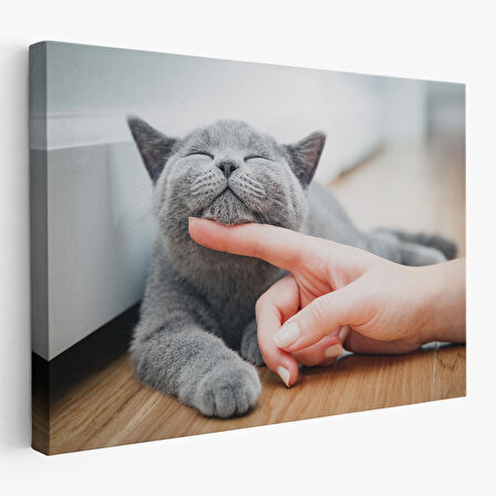 Sevimli Kedi Dekoratif Kanvas Tablo-6505