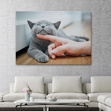 Sevimli Kedi Dekoratif Kanvas Tablo-6505