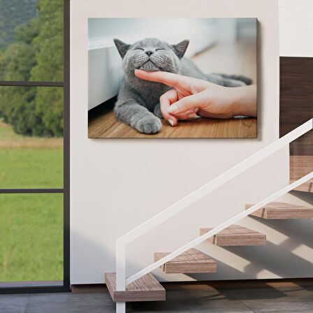 Sevimli Kedi Dekoratif Kanvas Tablo-6505