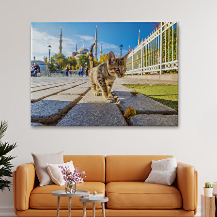 Sultan Ahmet Camii Önündeki Yavru Kedi Tablosu-6507