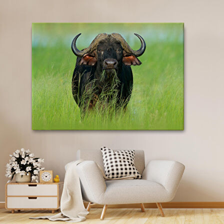 Asya Mandası Duvar Tablosu-6511