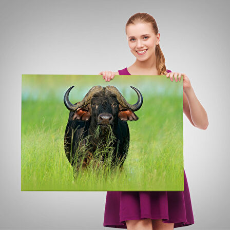 Asya Mandası Duvar Tablosu-6511