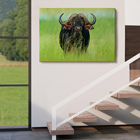 Asya Mandası Duvar Tablosu-6511