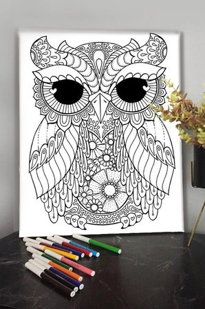 Baykuş 1 40x30cm Çocuklar Için Özel Boyanabilir Tablo Tuval Mandala Kalem Hediyesi Yoktur.