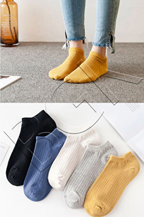 Unisex 5'li Yazlık Renkli Çorap