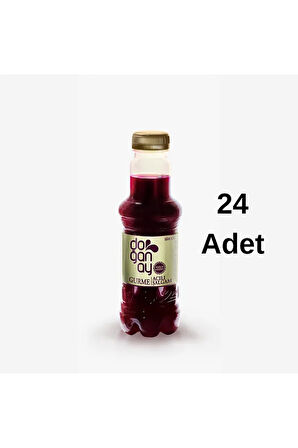 Gurme Şalgam Suyu Acılı 300 ml x 24 Adet