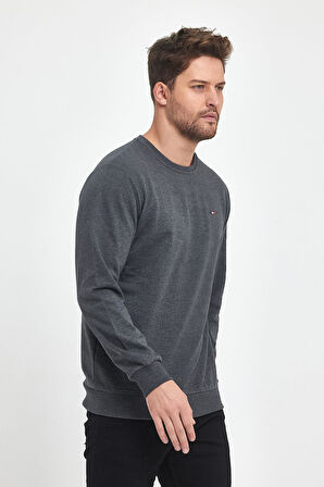 Erkek Antrasit Bisiklet Yaka Nakış Detaylı  Regular Fit Sweatshirt CMRE70