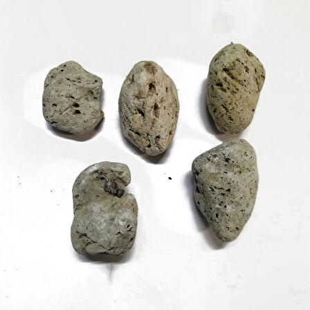 Uçan Kaya Akvaryum Aksesuarı Dekoru 6-9 CM ( 1 Adet )