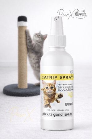 Kedi Tırmalama Tahtası Antrasit ve Catnip Sprey Seti Doğal Oyun ve Sakinleştirici Eğitim Seti
