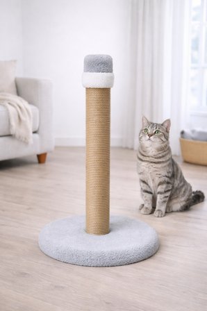 Gri Kedi Tırmalama Tahtası ve Catnip Sprey Seti Doğal Oyun ve Sakinleştirici Eğitim Seti
